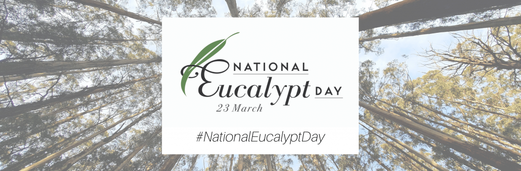 National Eucalypt Day Launched