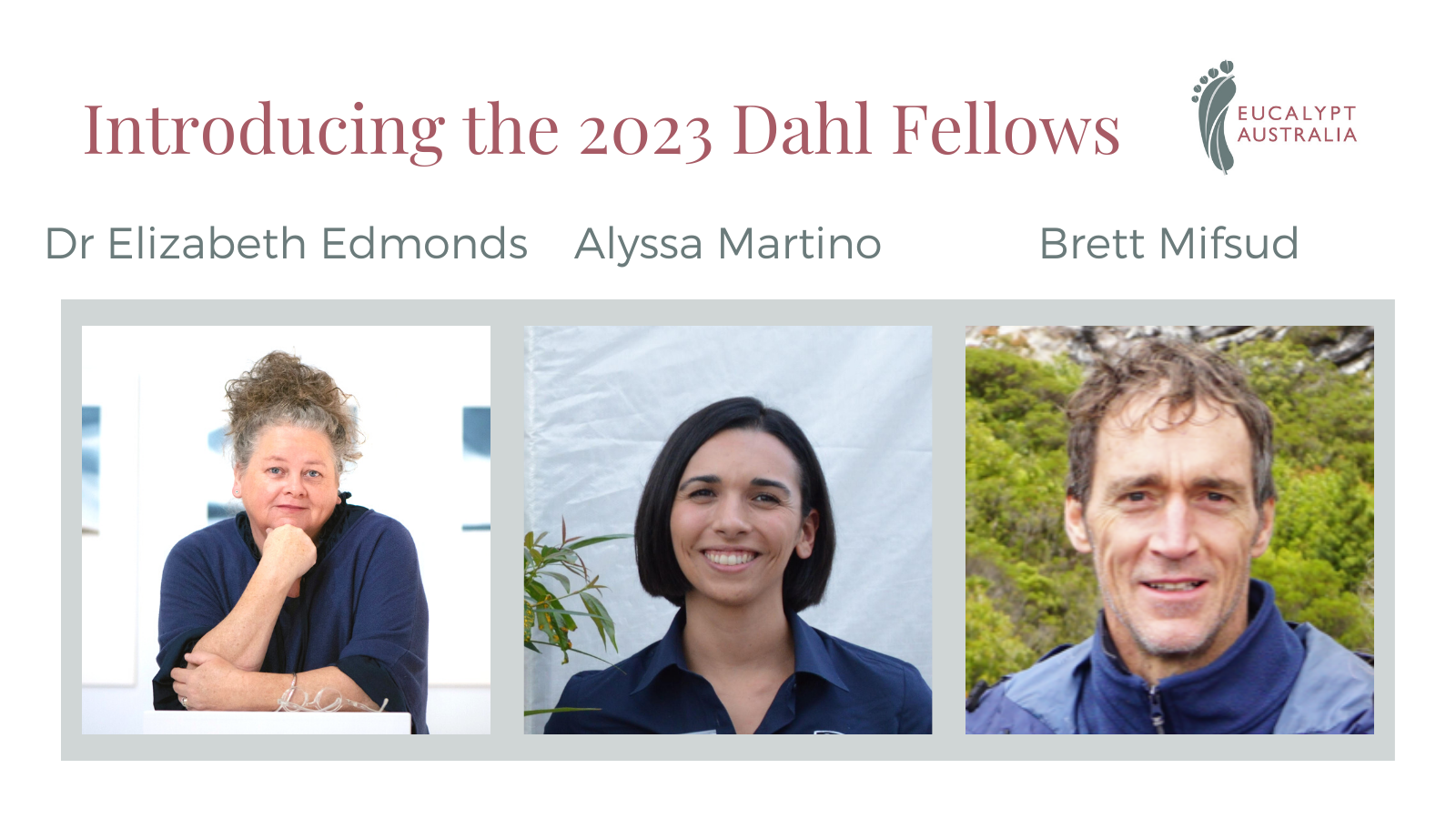 Congratulations to the 2023 Dahl Fellows